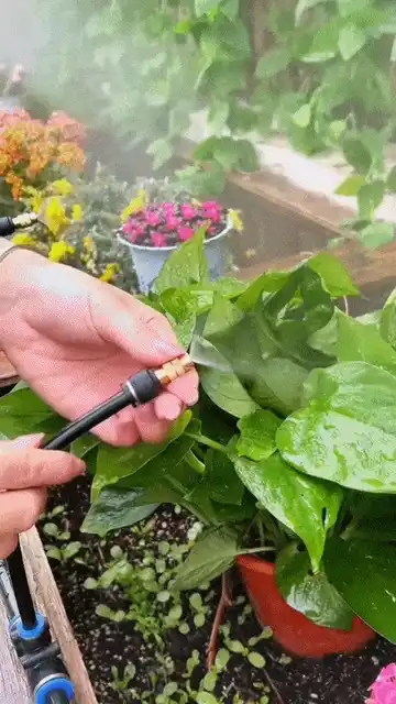 Automatic 360° Curved Garden Irrigation System