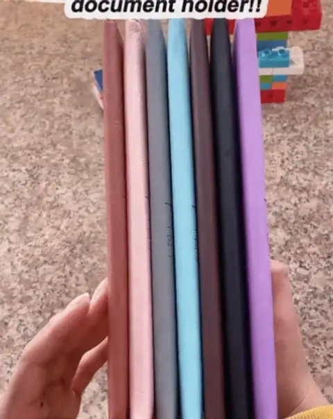 Car Registration & Insurance Card Holder