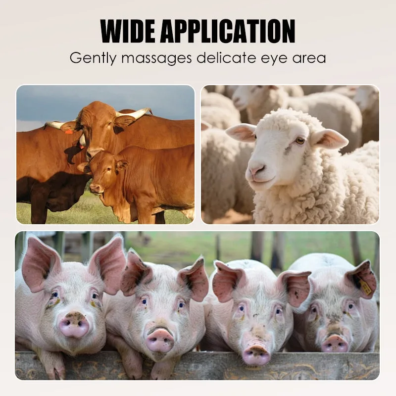 Efficient Livestock Hair Removal Scraper