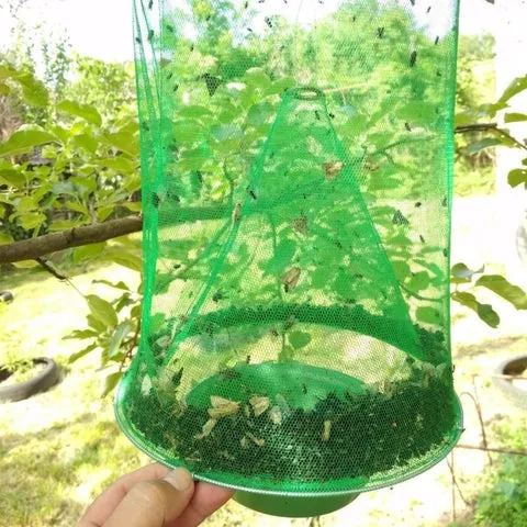 FAST FLY CATCHER