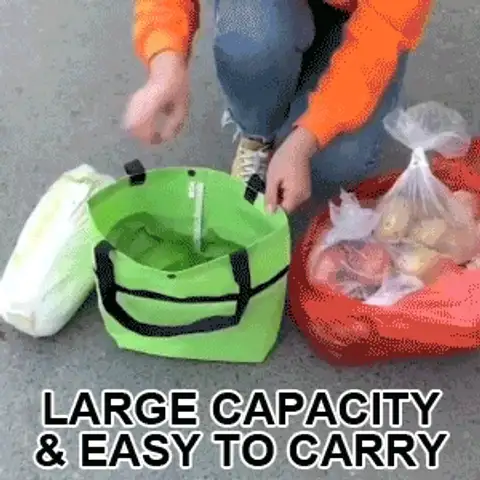 Foldable 2-in-1 Shopping Bag