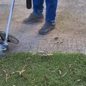 Garden Weed Brush Lawn Mower Blade
