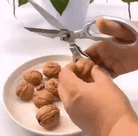 High-Hardness Multi-Function Kitchen Scissors
