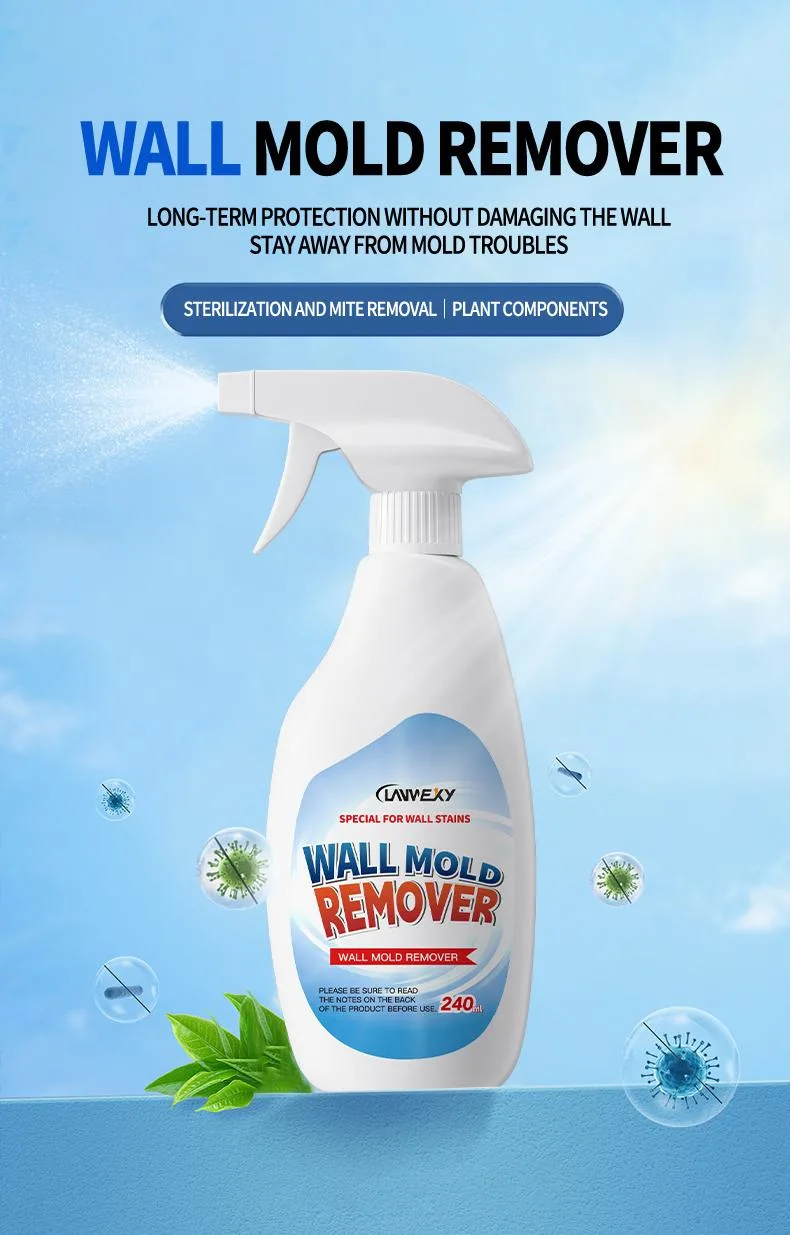 Highly Effective Mould Removal Spray