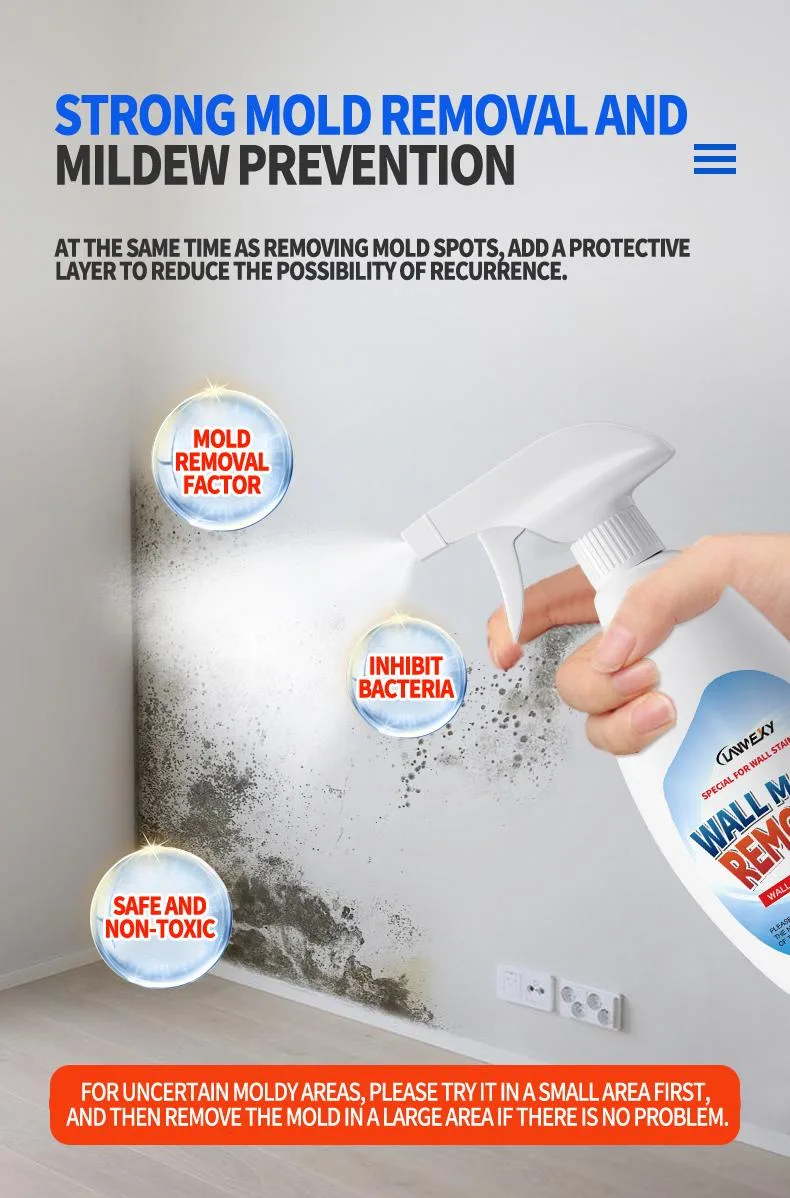 Highly Effective Mould Removal Spray