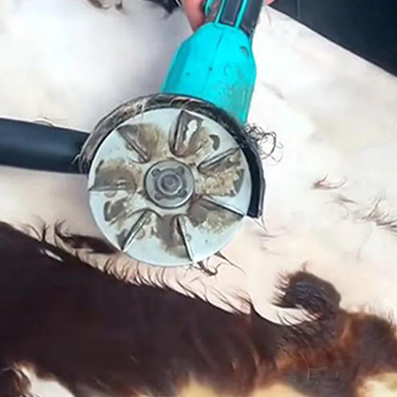 Labor-Saving Pig Hair Remover Scraper Disc