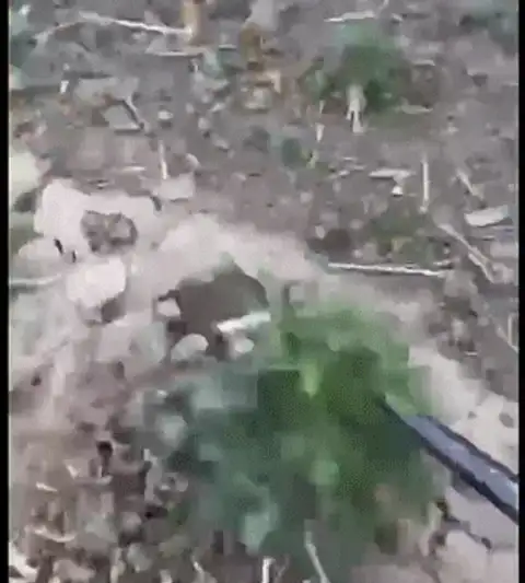 Manual Weed Remover Tool for Lawn and Garden