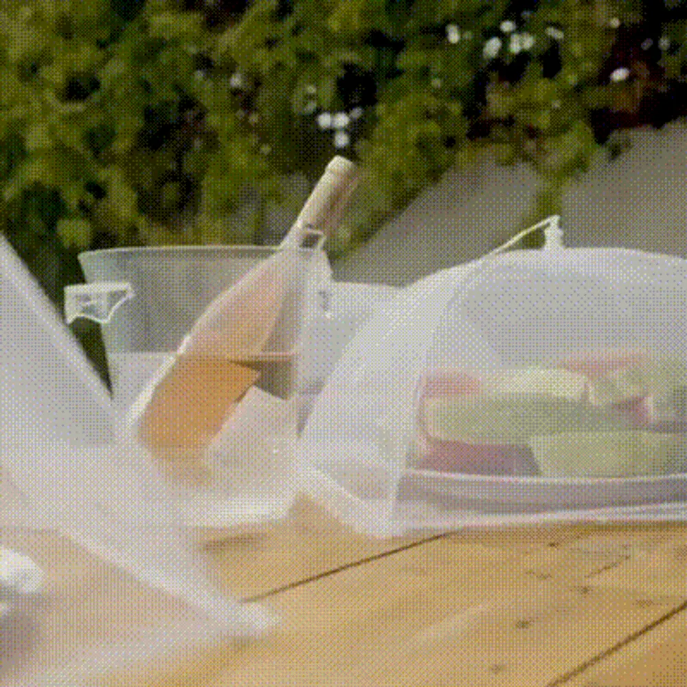 Mesh Pop-Up Food Protector