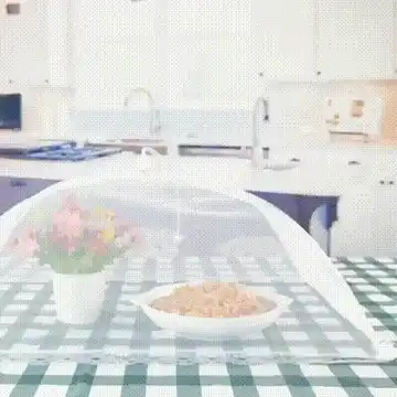 Mesh Pop-Up Food Protector