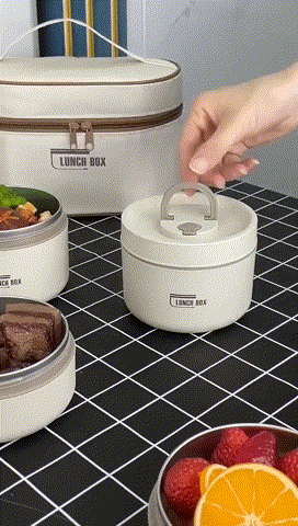 Microwaveable Stainless Steel Insulated Lunch Box Set