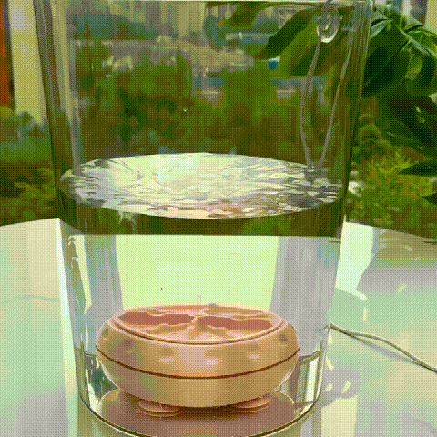 Mini Washing Machine And Dishwasher