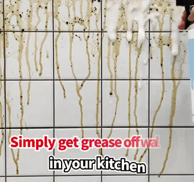 Multi-Purpose Enzyme Foam Cleaner