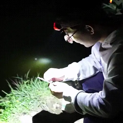 Outdoor Multifunctional Sensor LED Headlamp