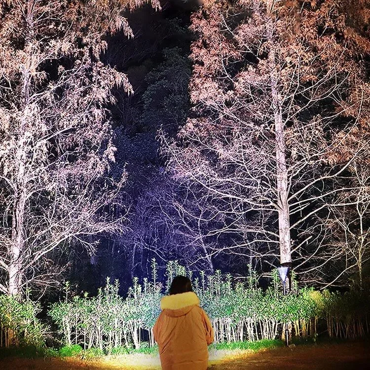 Outdoor Multifunctional Sensor LED Headlamp