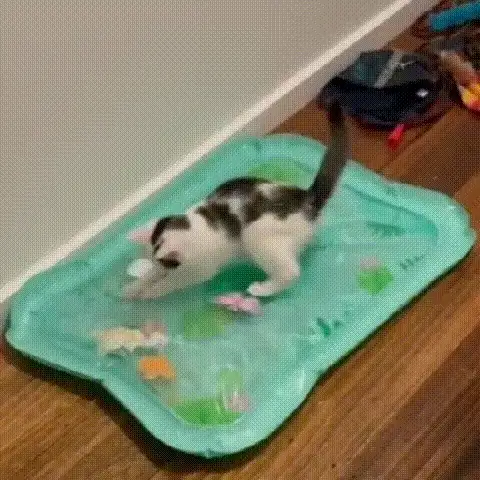 Pet Water Sensor Mat