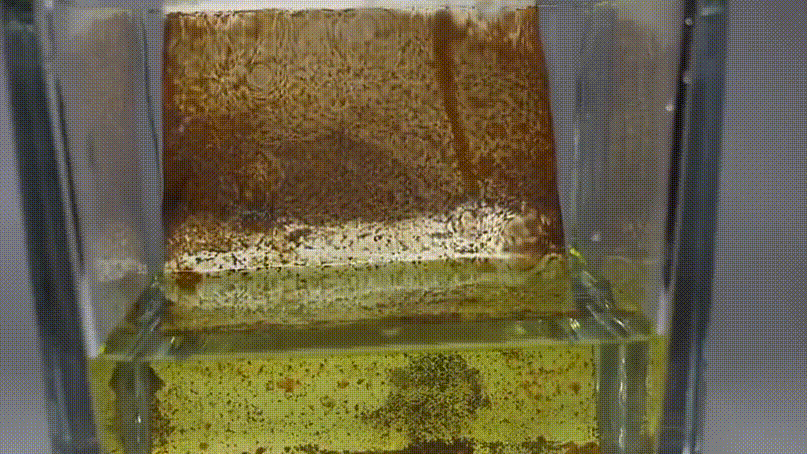 Powerful Metal Rust Remover
