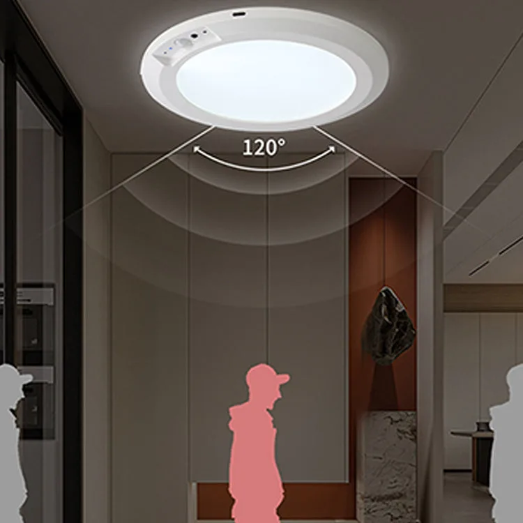 Rechargeable Motion Sensor Ceiling Light