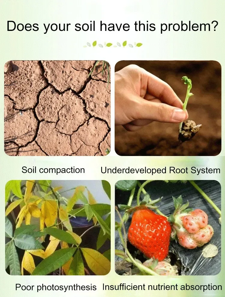 Soil Activator for Plants