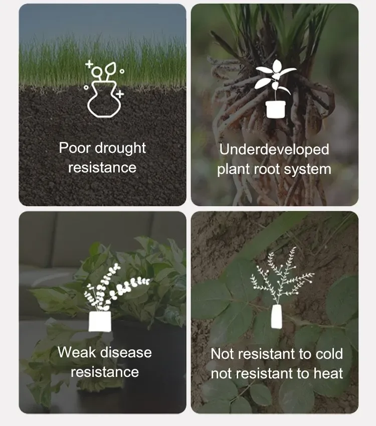Soil Activator for Plants