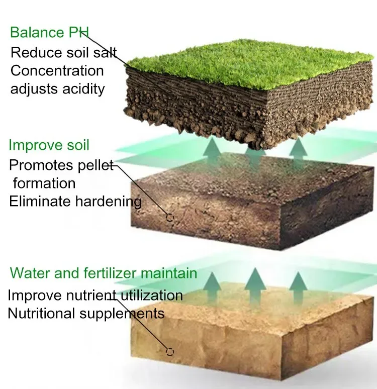Soil Activator for Plants