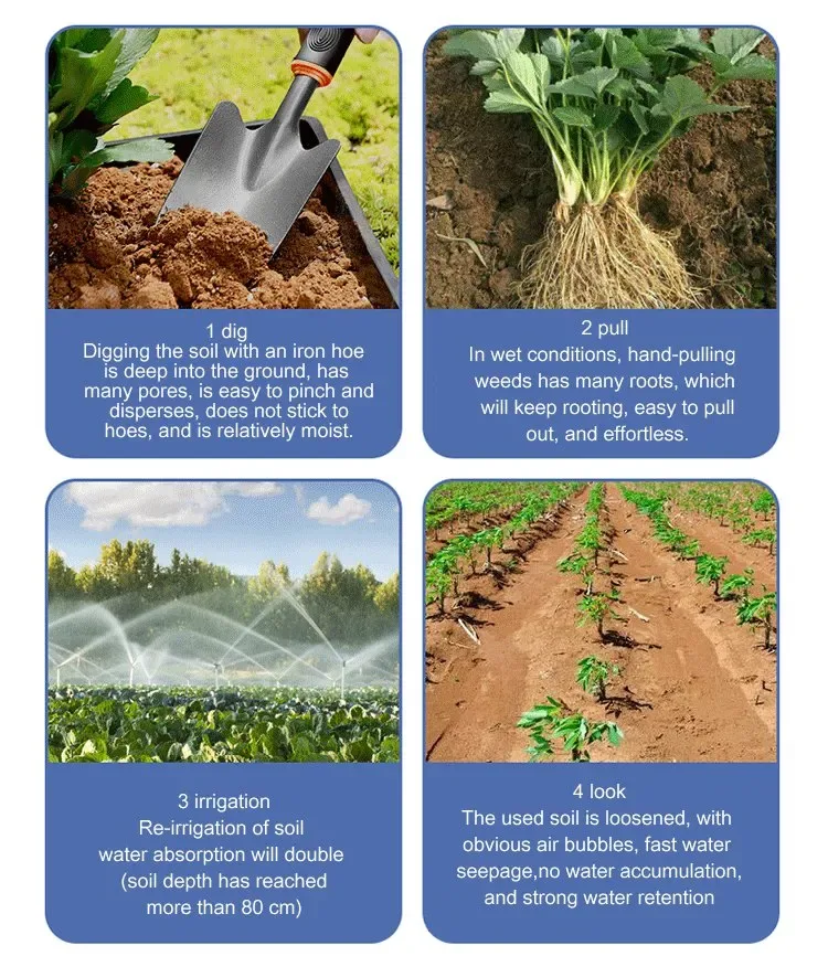 Soil Activator for Plants