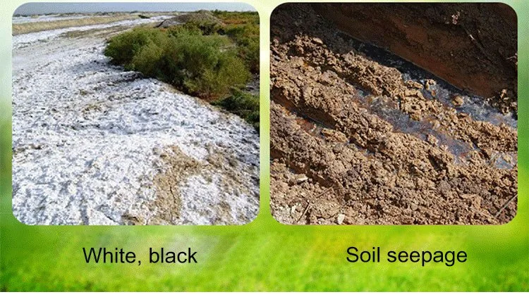 Soil Activator for Plants