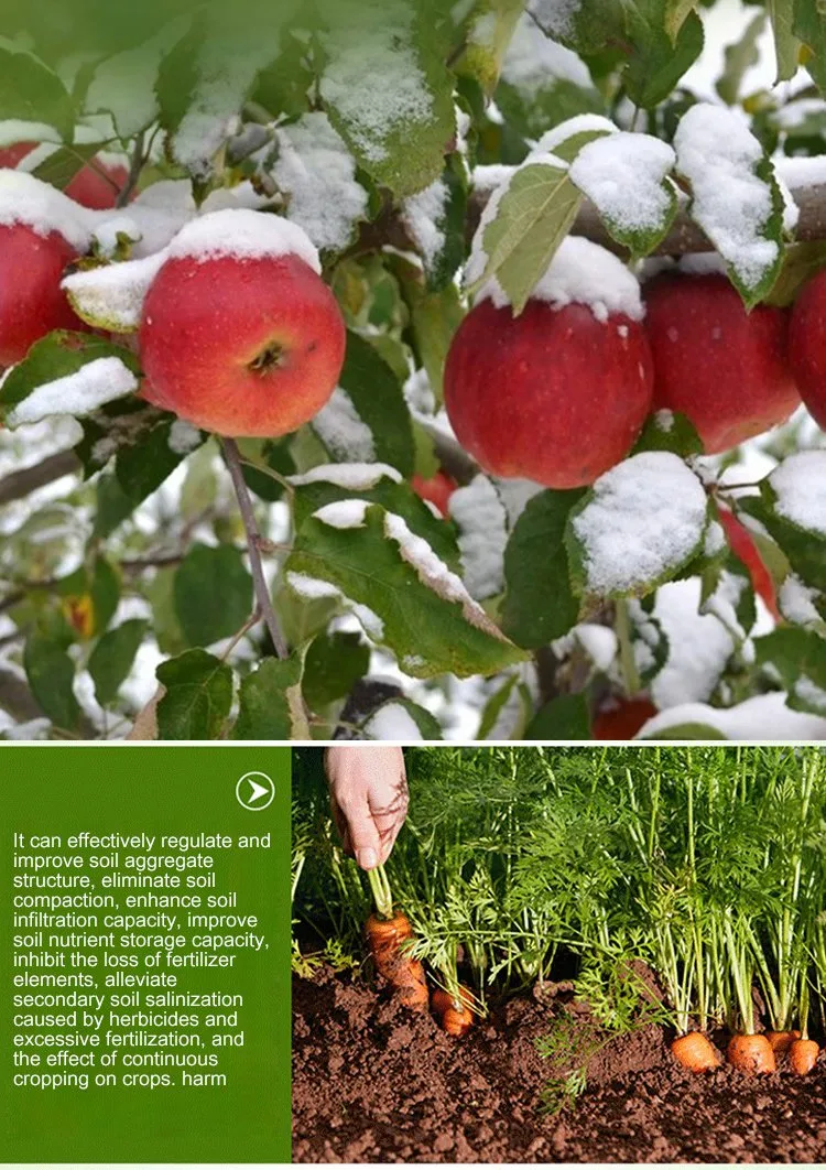 Soil Activator for Plants