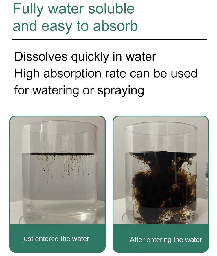 Soil Activator for Plants