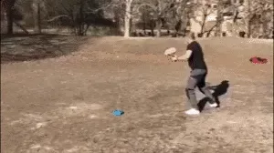 Tennis Practice Device