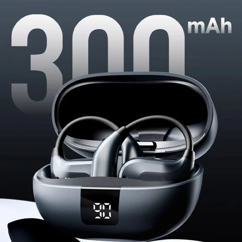 Translation Earbuds