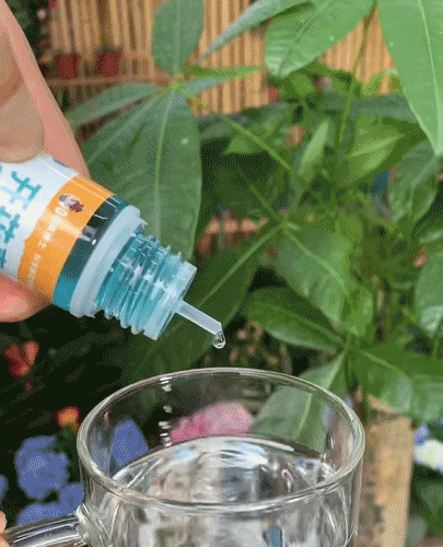 Universal nutrient solution for flowering potted plants
