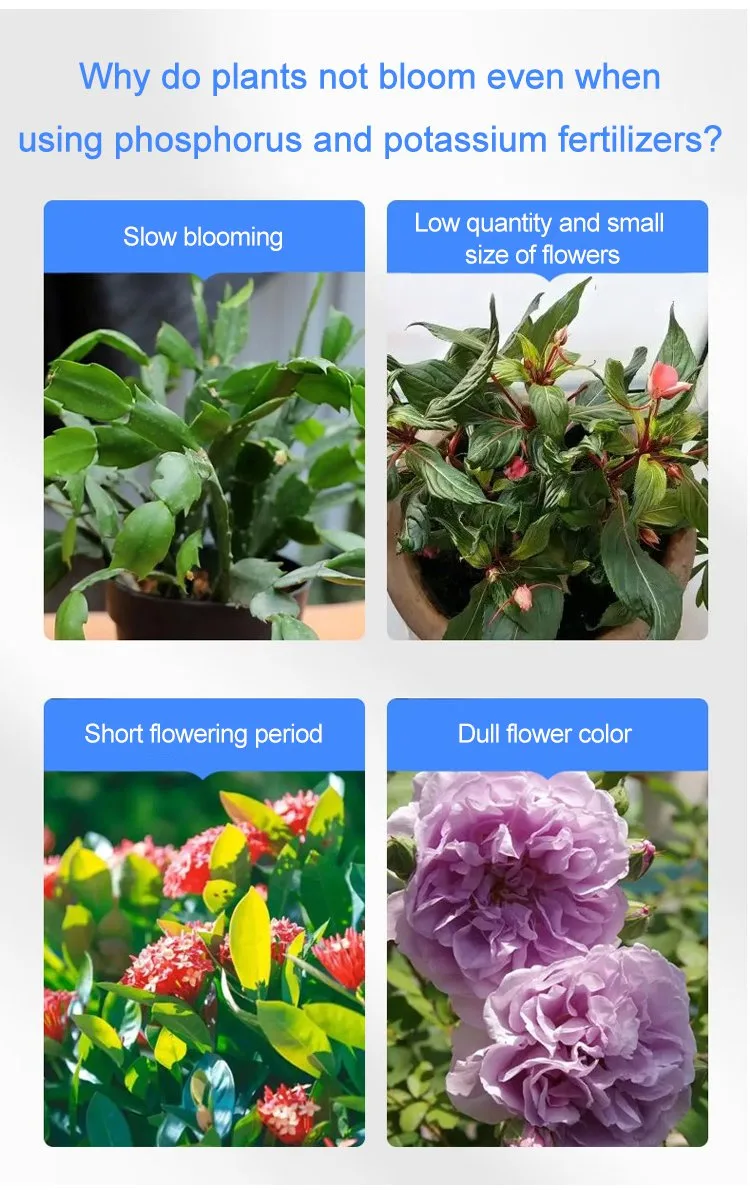 Universal nutrient solution for flowering potted plants