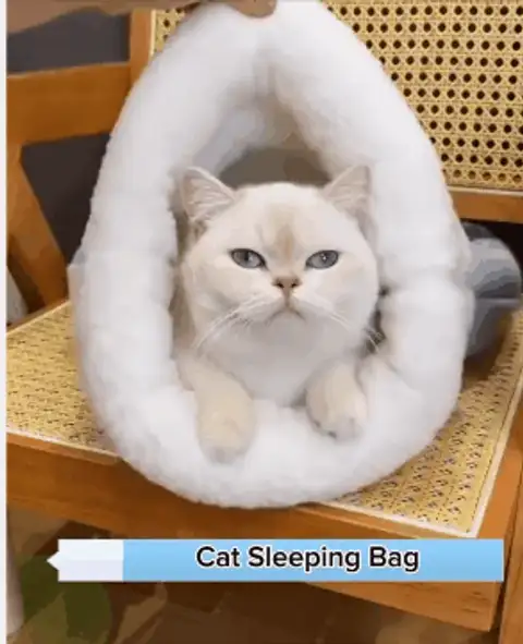 Warm Plush Thick Cat Bed