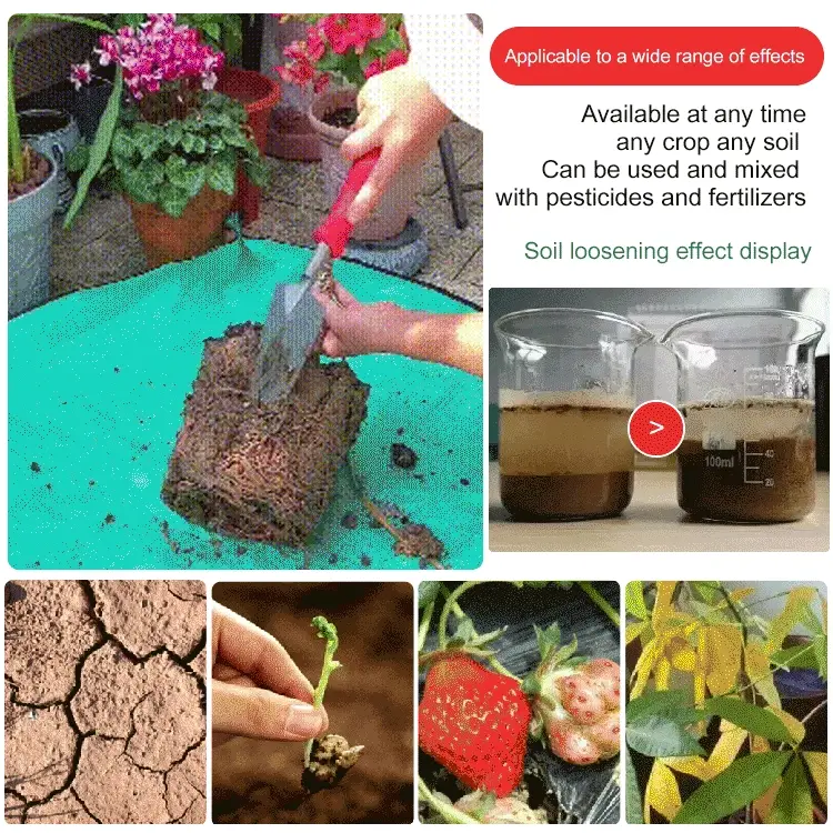 🔥Hot Sale🔥Soil Activated Treasure-You Will Be Amazed! - Image 6