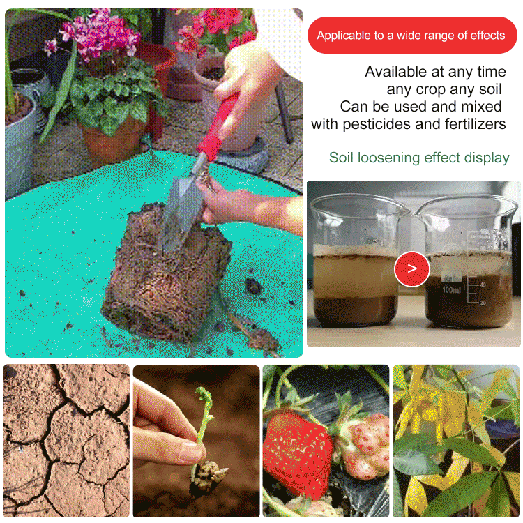 🔥Hot Sale🔥Soil Activated Treasure-You Will Be Amazed! - Image 3