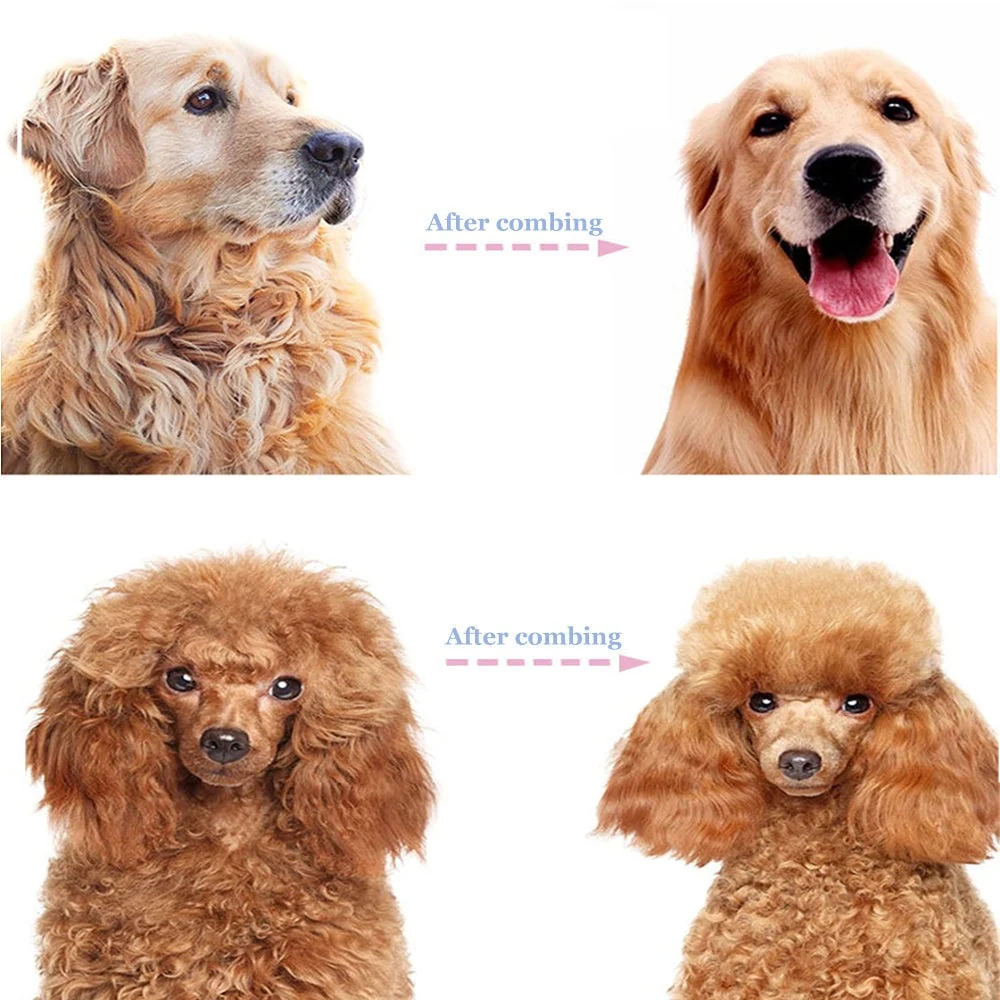 ⏰🔥LIMITED TIME 50% OFF! 🐾 Professional Deshedding Tool for Dogs & Cats – Gentle, Efficient & Fur-Free Home ✨💖 - Image 17